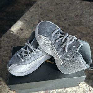 Brand new Jordan 12 retro